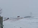 Třibřichy